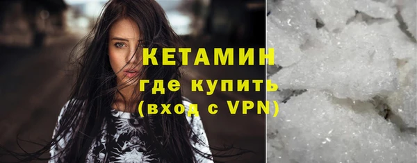 прущие грибы Надым