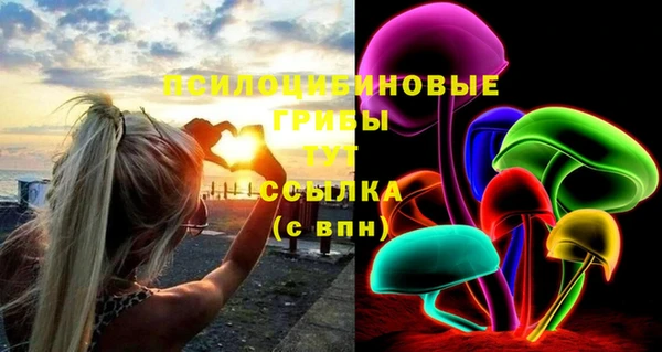 jwh Белокуриха