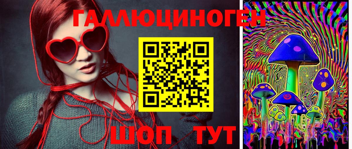 Галлюциногенные грибы Psilocybe  Вход с VPN  Псилоцибиновые грибы GOLDEN TEACHER  Ногинск 